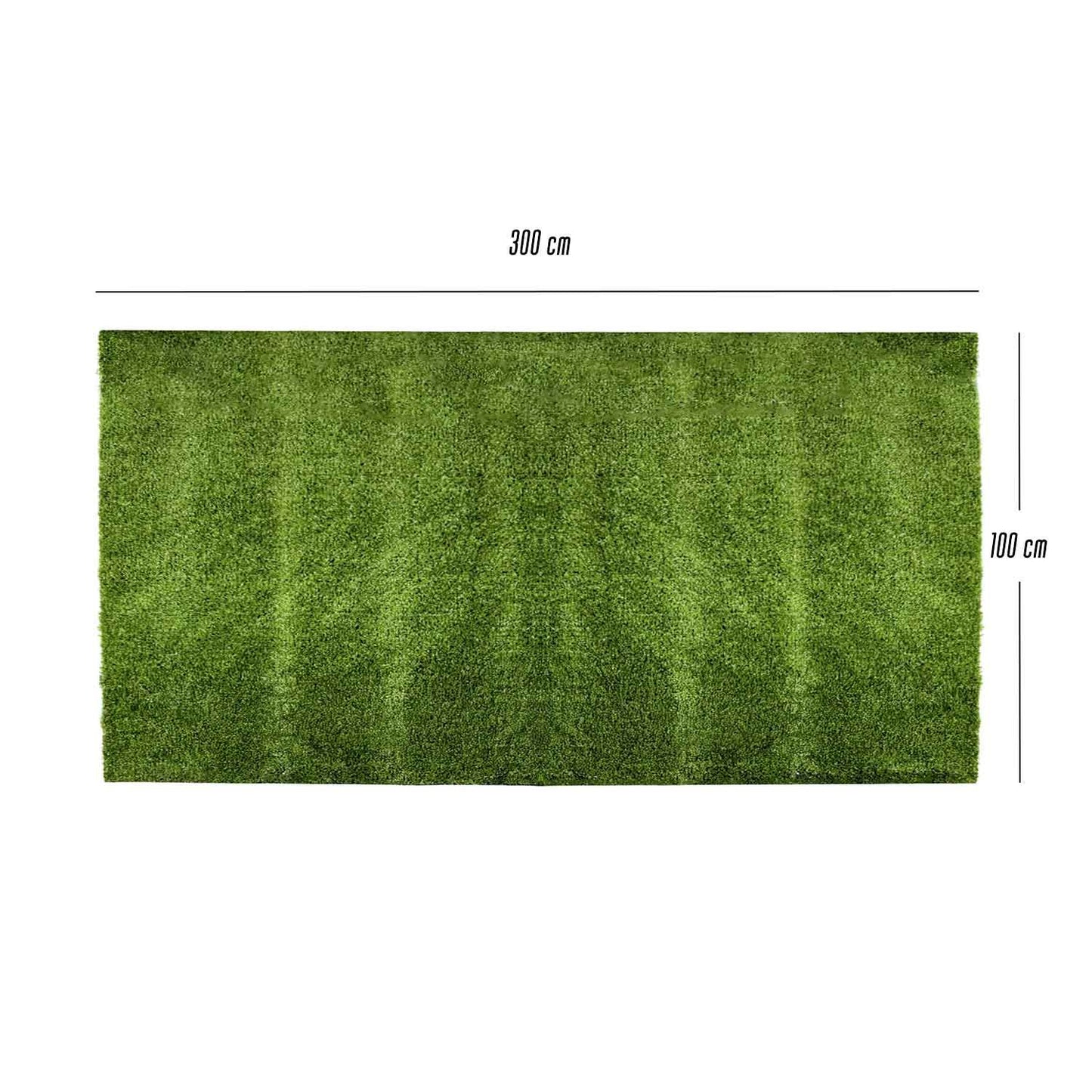 Prato Sintetico Artificiale 1x3 m Effetto Naturale Resistente UV per Esterno 8mm