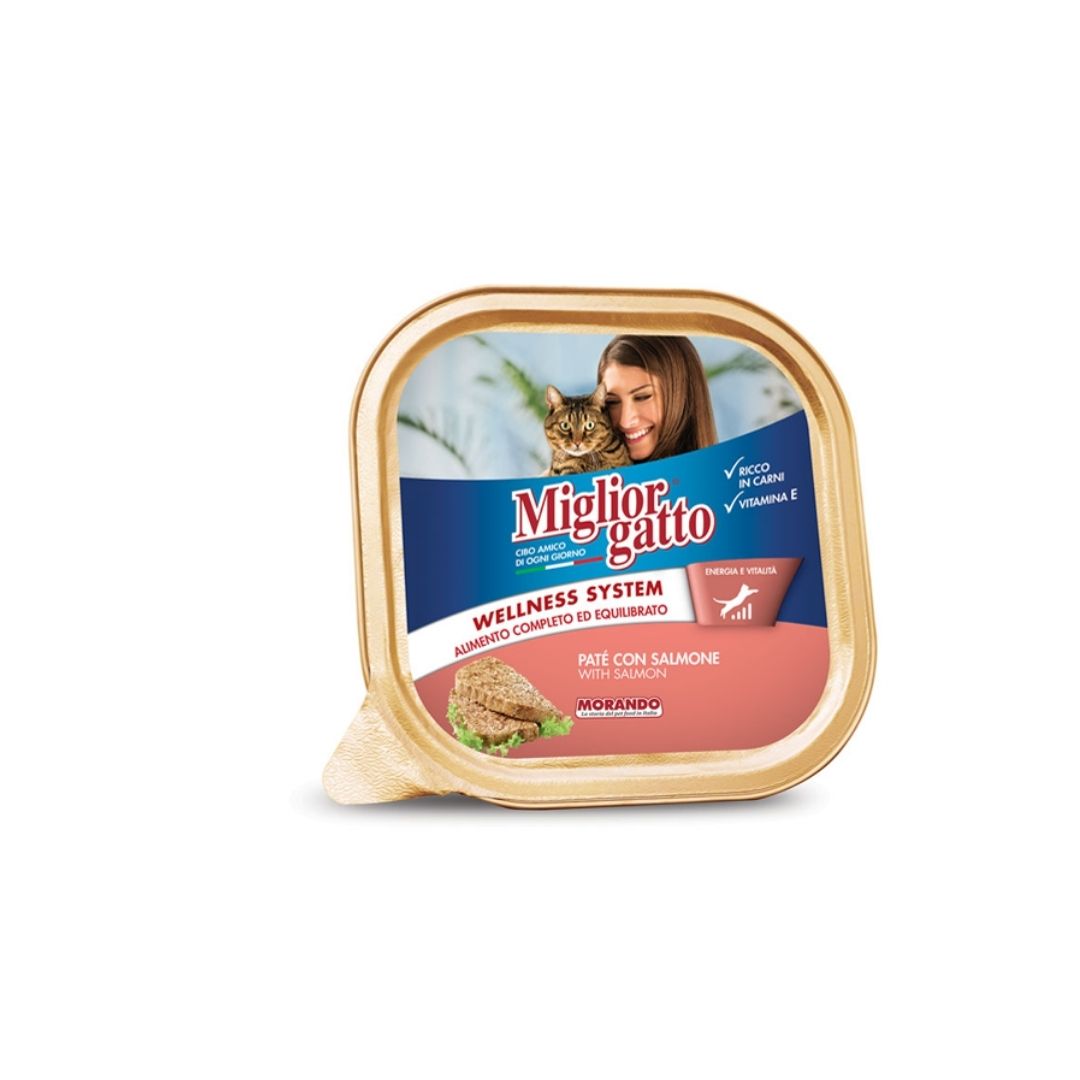 Miglior Gatto Vaschetta Patè con Salmone 100 g